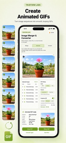 Image Merger & Converter Screenshot 3 of 6