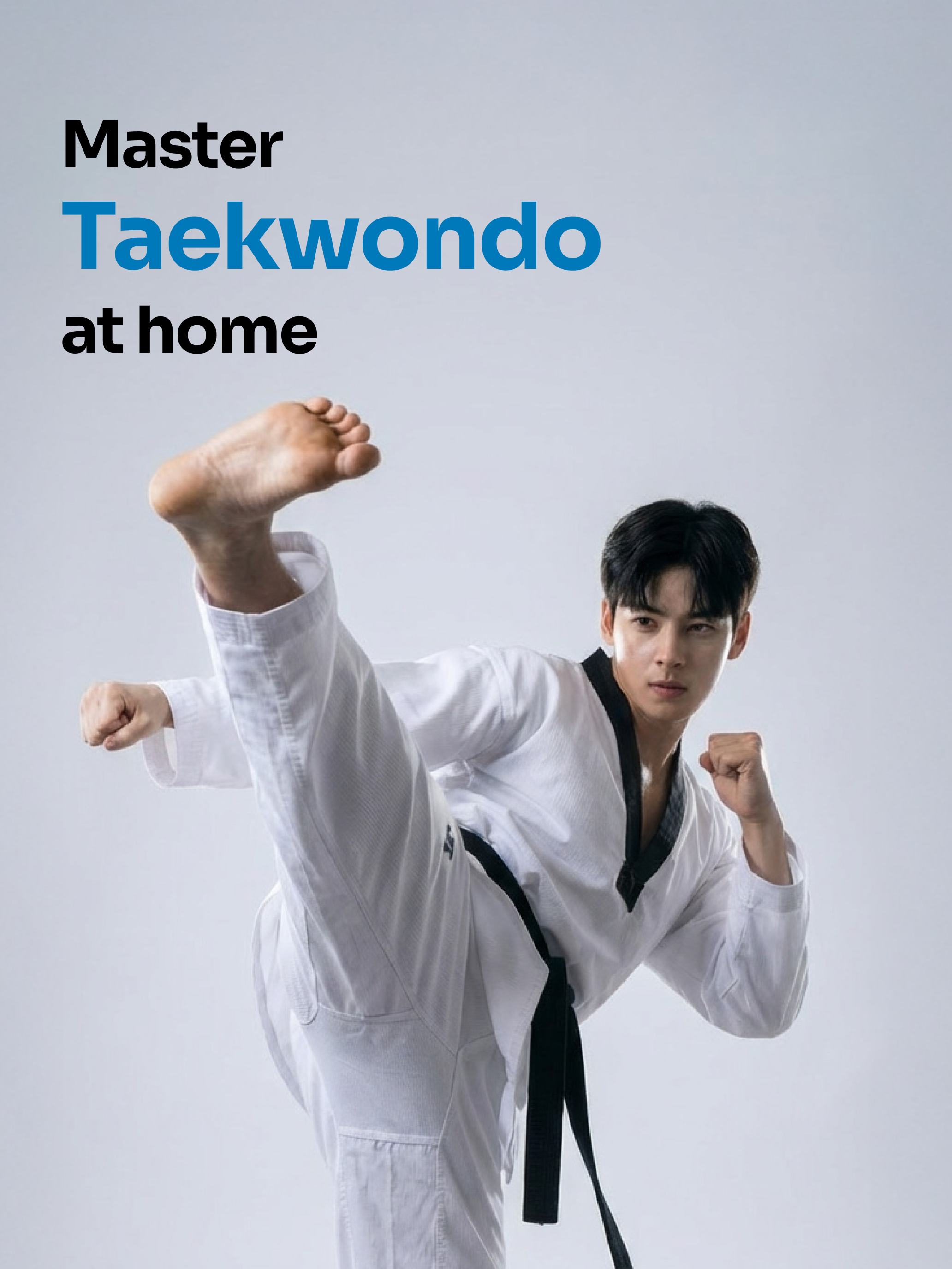 Taekwondo Kicks Training