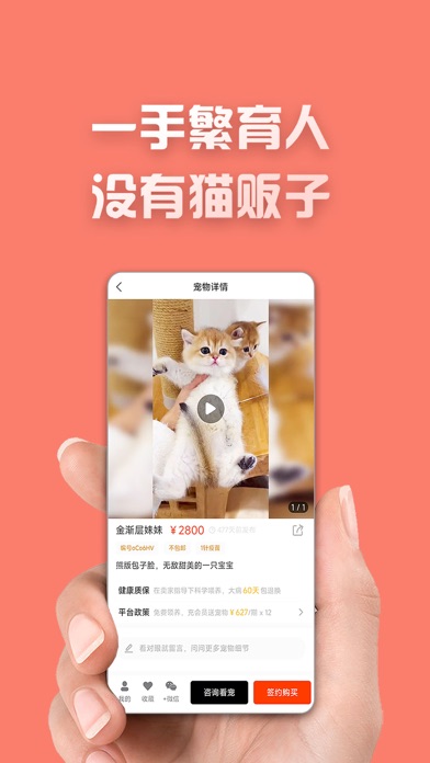 网喵宠物 Screenshot