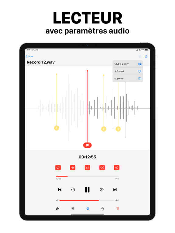 Screenshot #6 pour AI Dictaphone