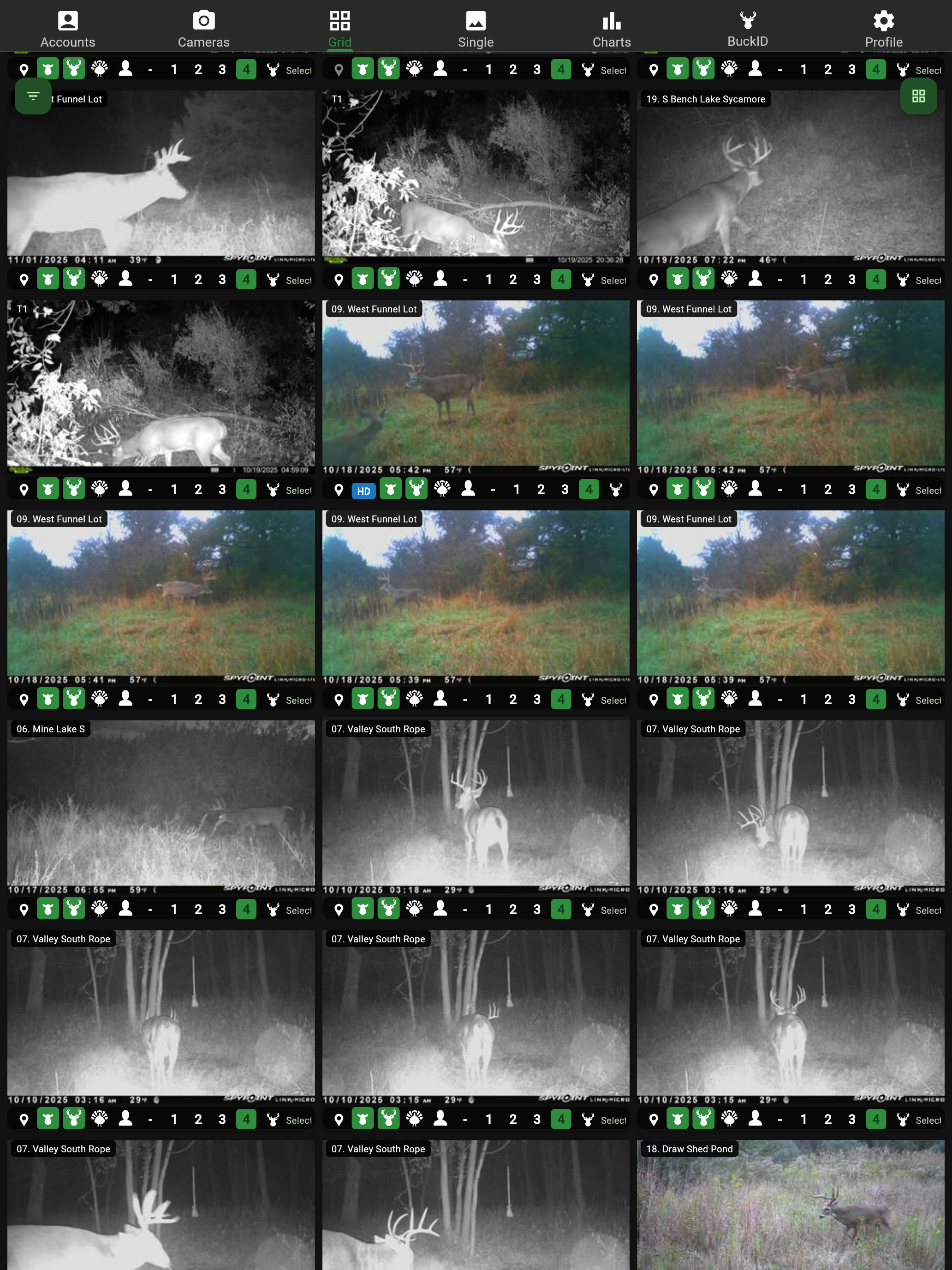 Camlink Mobile screenshot 13