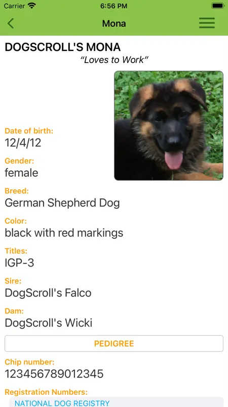 DogScroll screenshot 2 of 8