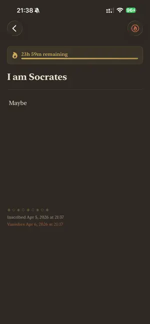 Plato – Disappearing Notes screenshot 4