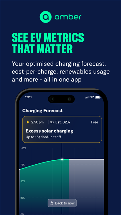 Amber Electric screenshot 3