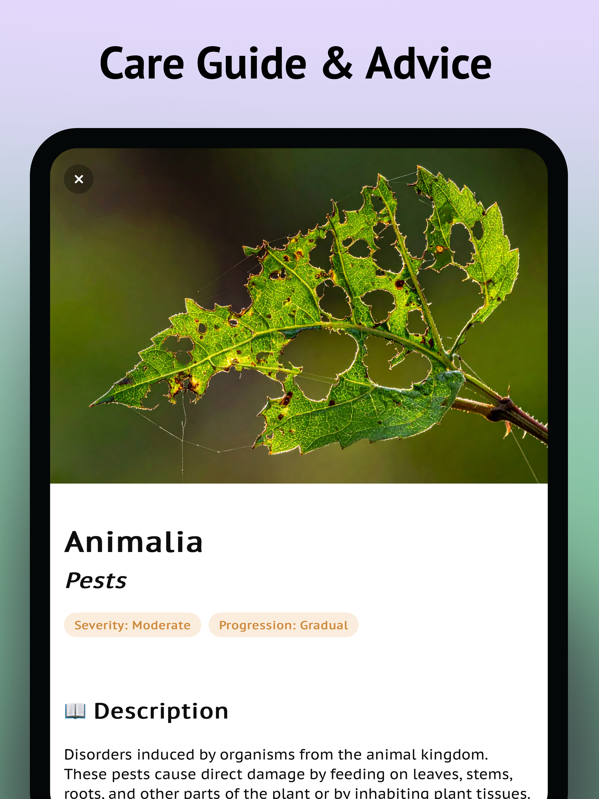 Diagnose Plant Problems App screenshot 16