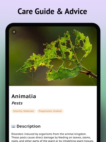 Diagnose Plant Problems App iPad screenshot