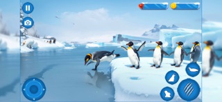 Penguin Family Simulator Game iPhone screenshot