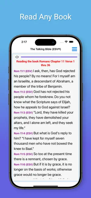 Talking Bible for The Blind screenshot 2