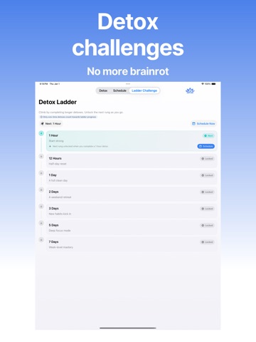 Digital Detox ADHD AppBlocker iPad screenshot