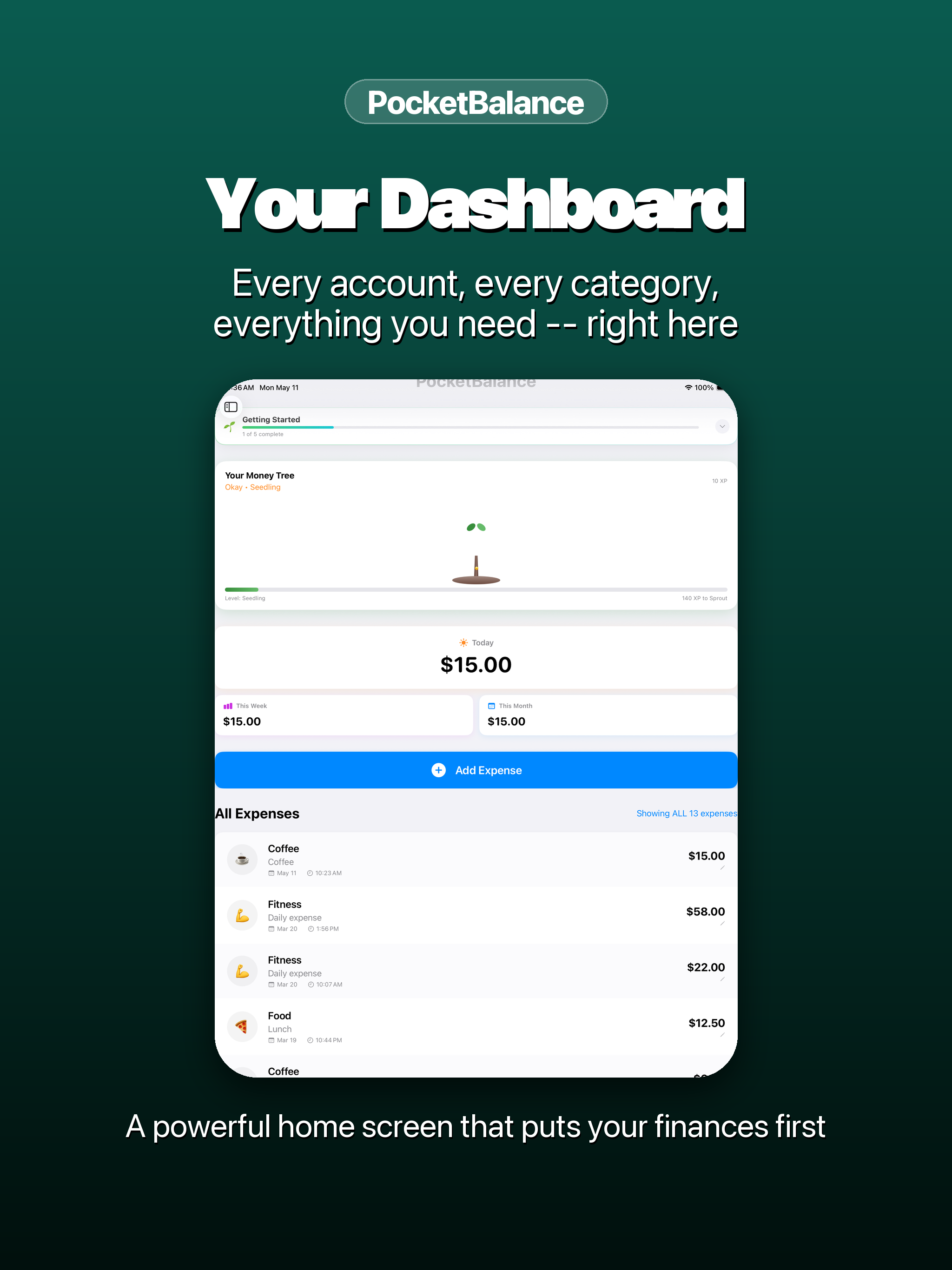 PocketBalance screenshot 11