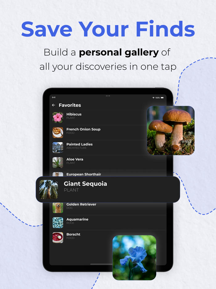 Curious AI Identify Anything