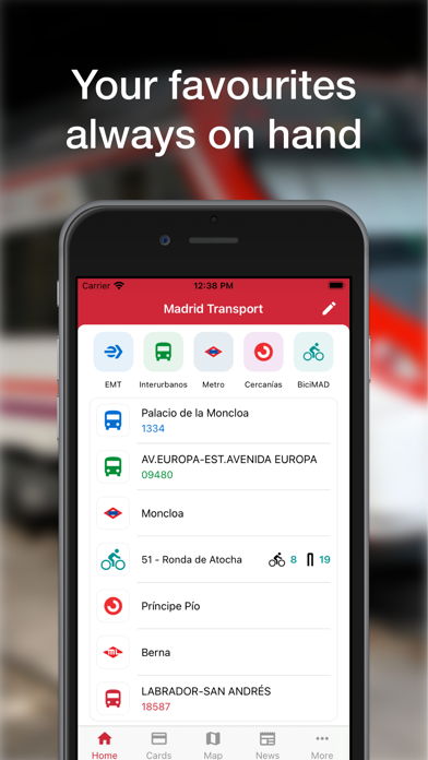 Madrid Transport - TTP Screenshot