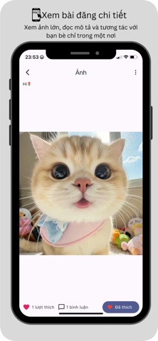 NVT Social screenshot
