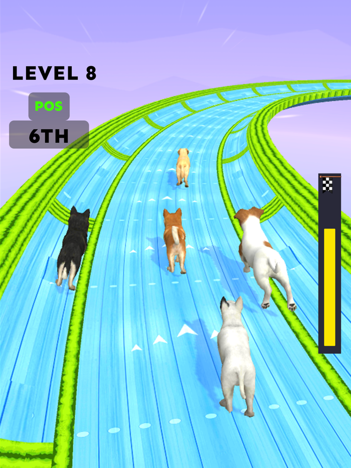 Dog Racing Master Pet Games