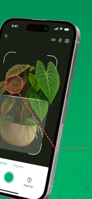 Plant ID - AI Identify Plants screenshot 2