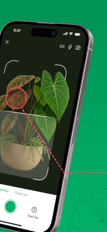 Plant ID - AI Identify Plants iPhone screenshot