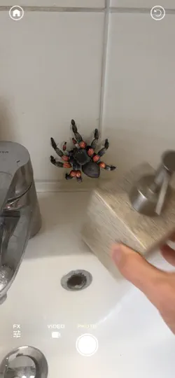 Capture d'écran de ARSpiders.com: Spider Prank sur iPhone 2