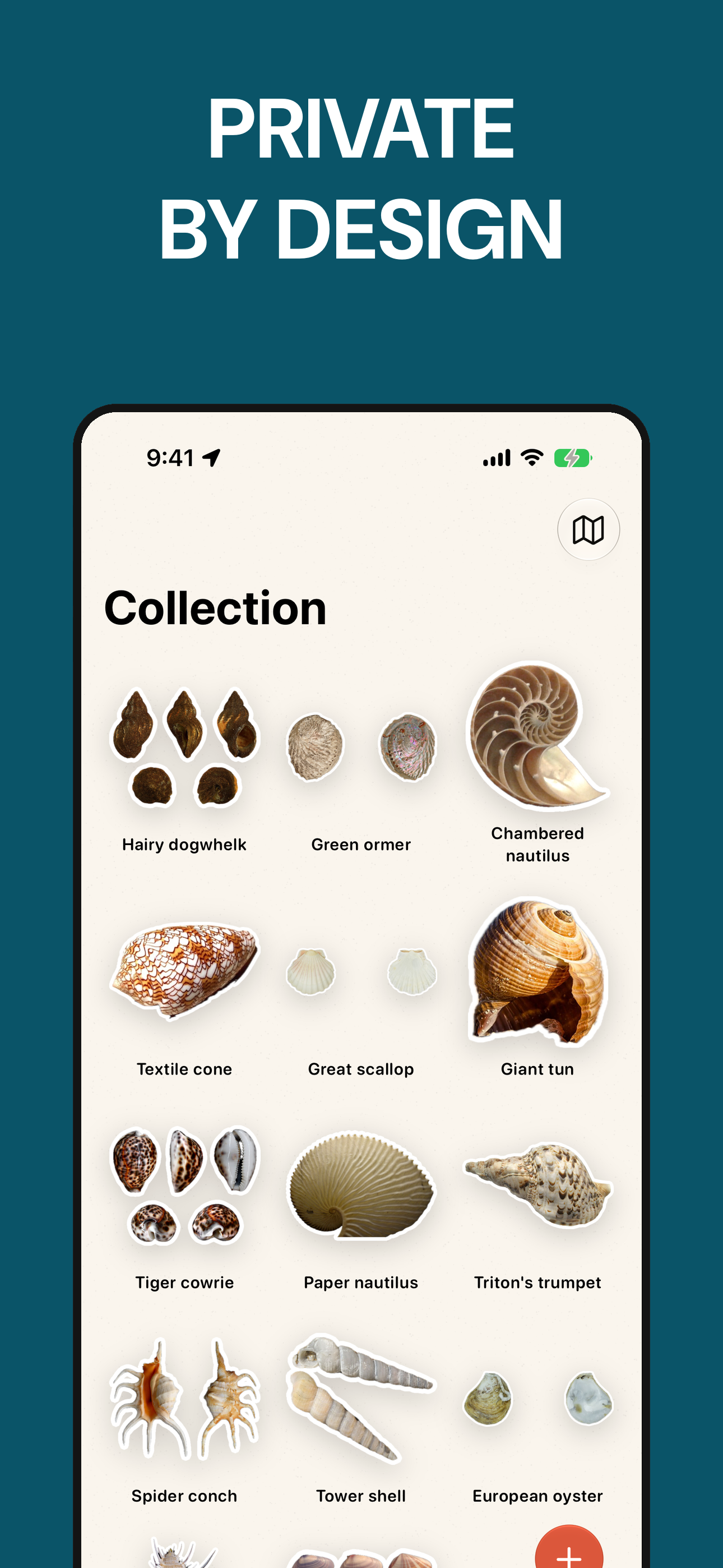 Sea Shell Identifier: ShellMap screenshot 7