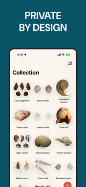 Sea Shell Identifier: ShellMap screenshot 7