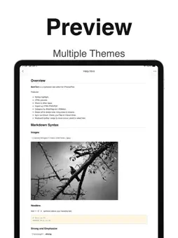 MarkText - Markdown Editor screenshot 12