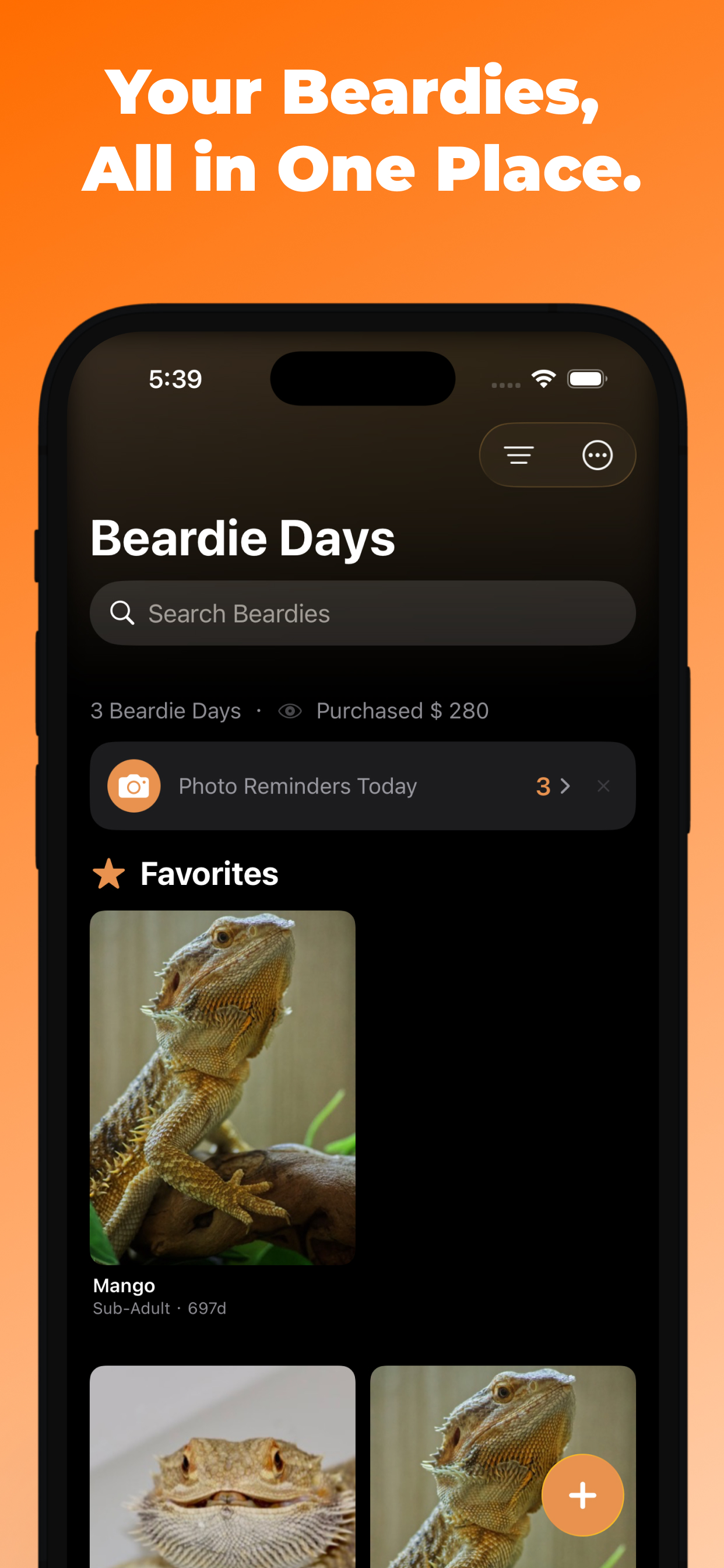 Beardie: Gecko Supplement Care