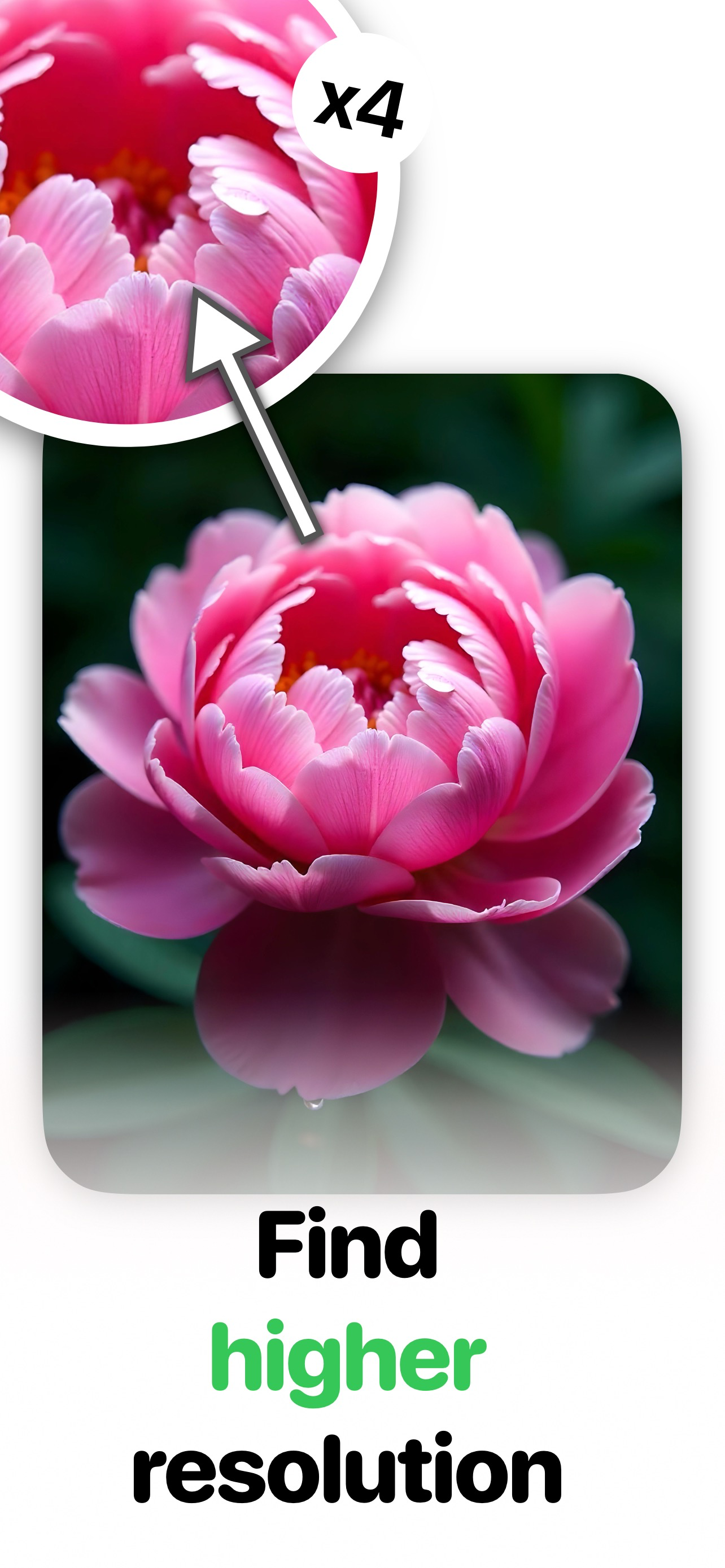 Search By Image: Lens Identify screenshot 4