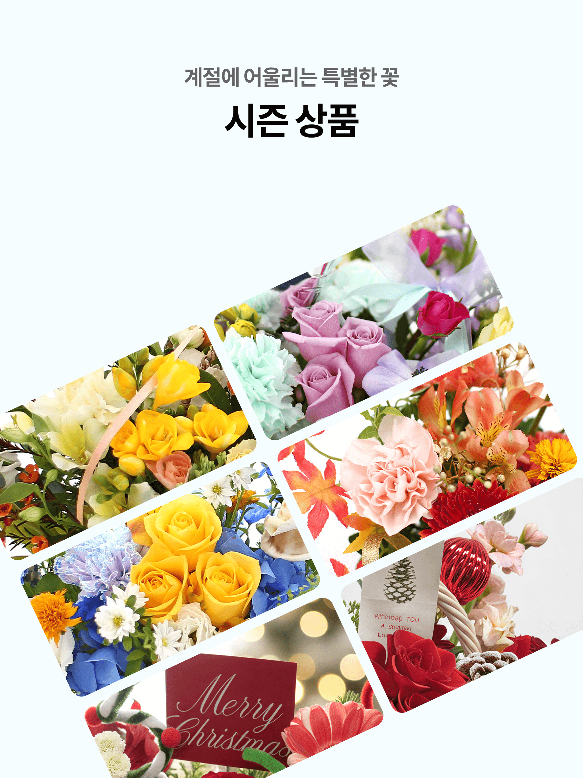 정찬우, 김태균의 컬투플라워