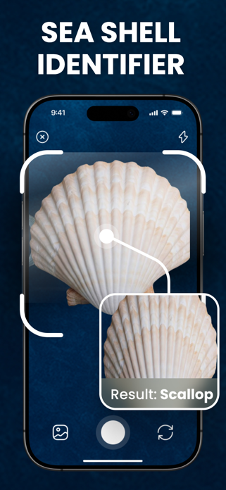 Sea Shell Identifier - Scanner Screenshot 1 of 4