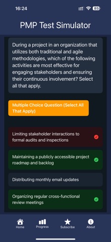 PMP Test Simulator screenshot