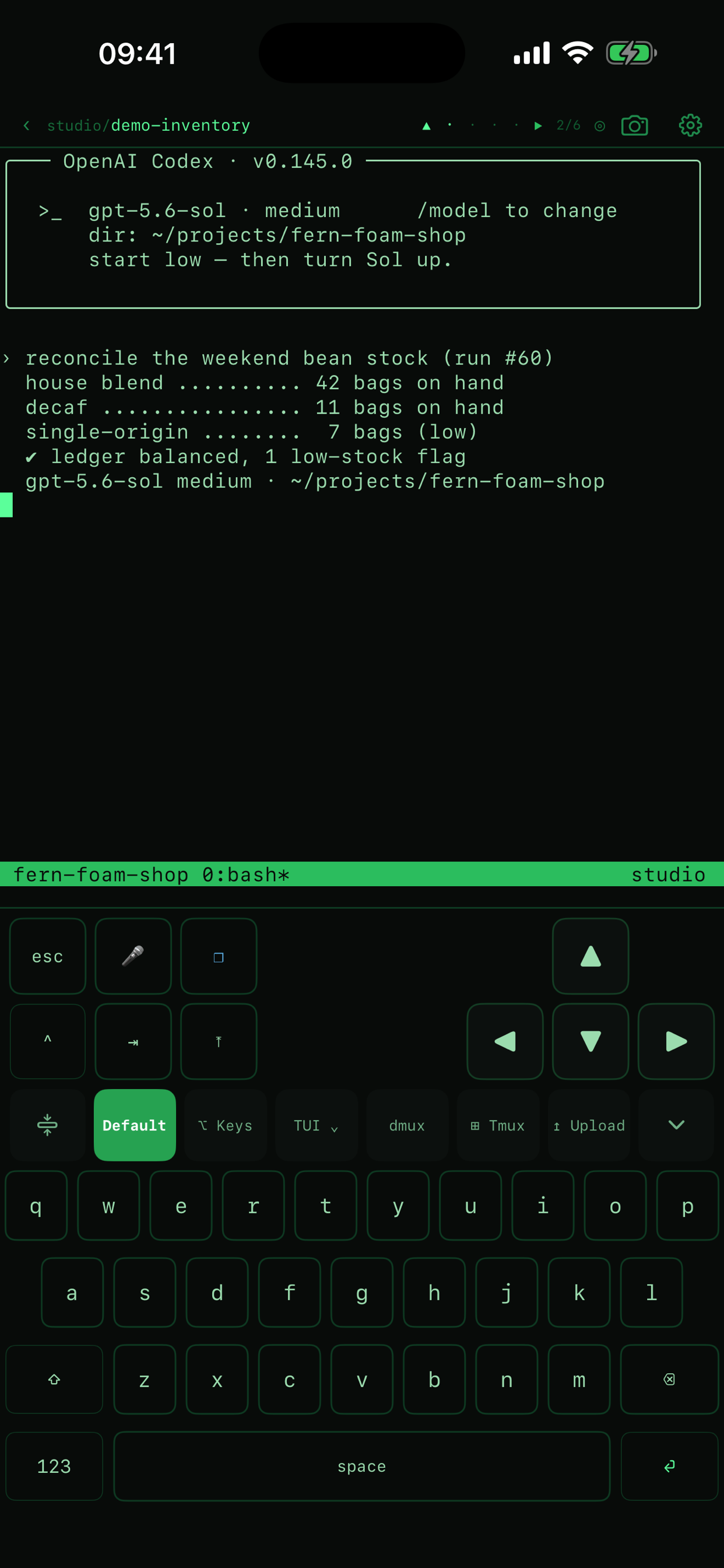 dev-mux: AI coding fleet mgmt screenshot 3
