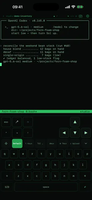 dev-mux: AI coding fleet mgmt screenshot 3