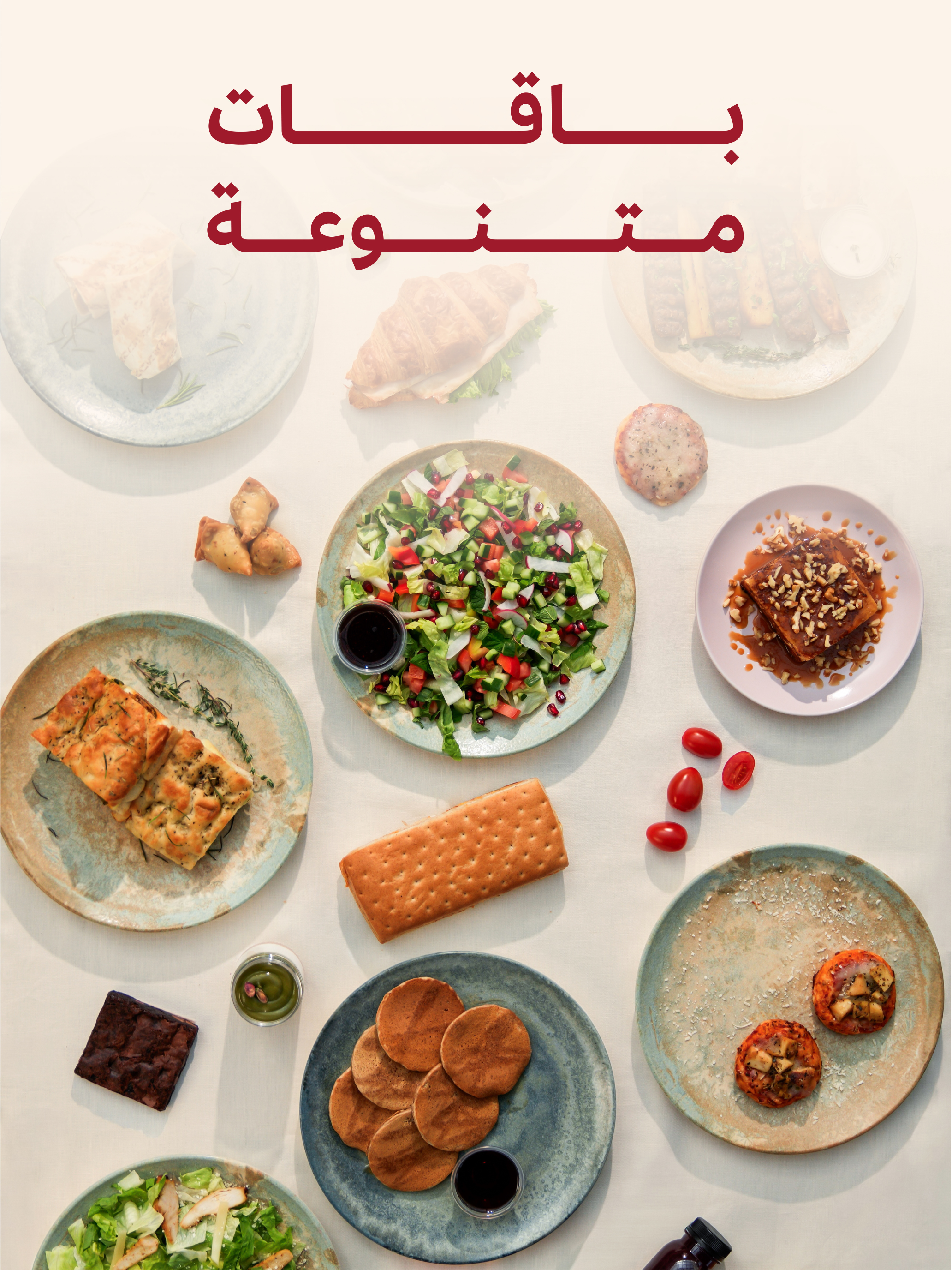 ZED MEALS | زد ميلز