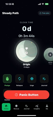 Steady Path: Recovery Tracker Screenshot 1 of 3