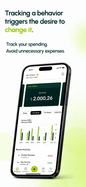 Paydown: Budget & Expense screenshot 1