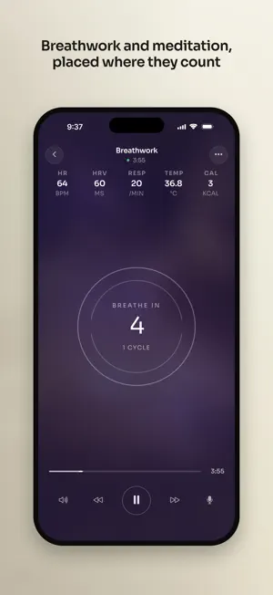 px. screenshot 4