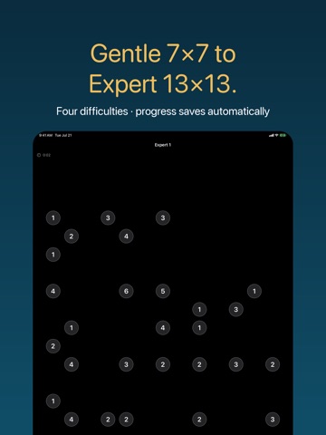 Causeway: Bridge Logic Puzzle iPad screenshot