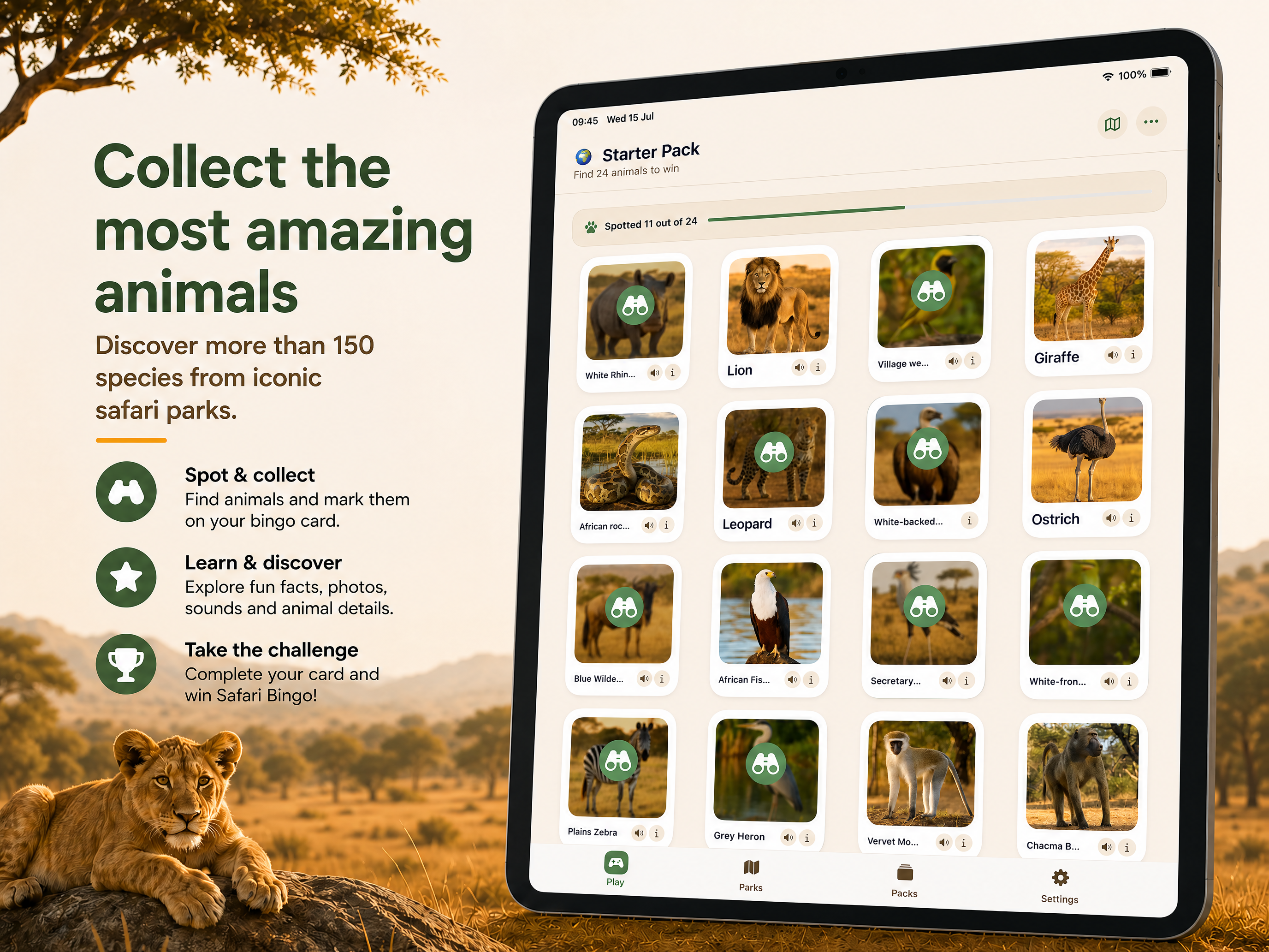 Safari Bingo: Wildlife Game screenshot 8