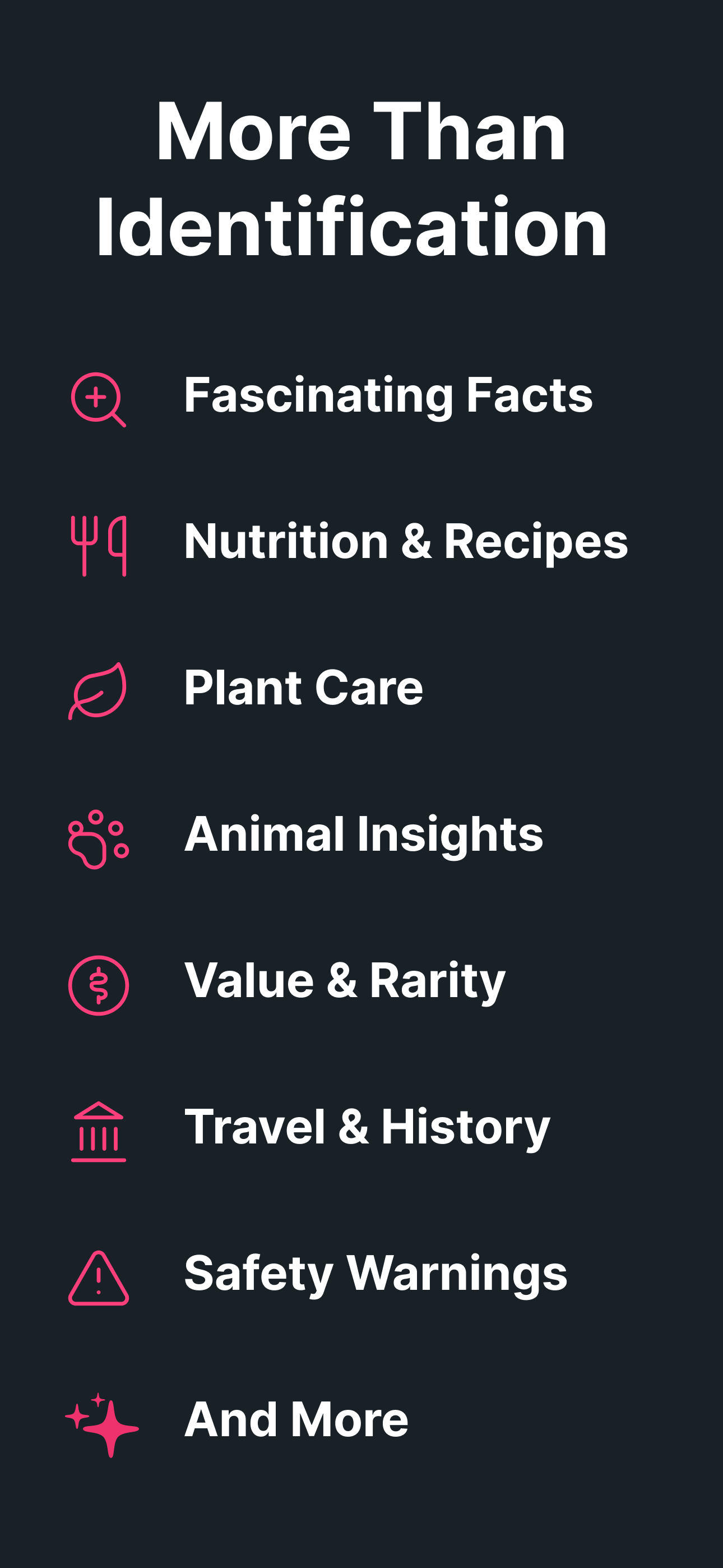 Identify This: AI Identifier screenshot 9