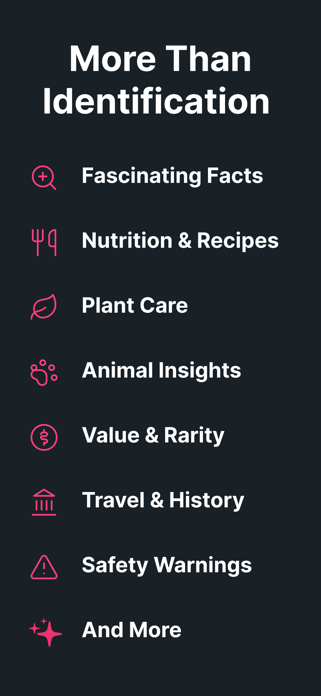 Identify This: AI Identifier Screenshot 9 of 10