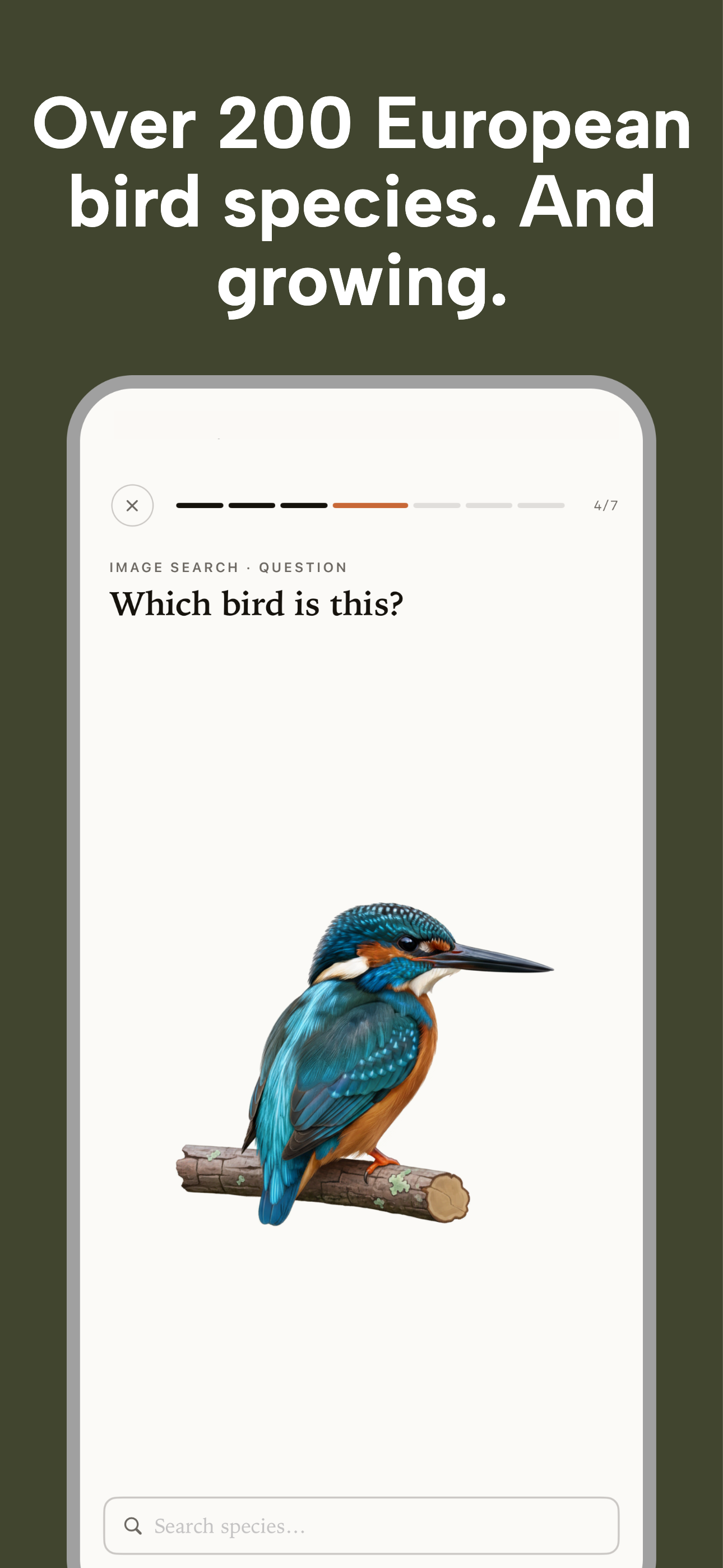 Nestling - Learn Birdwatching screenshot 9