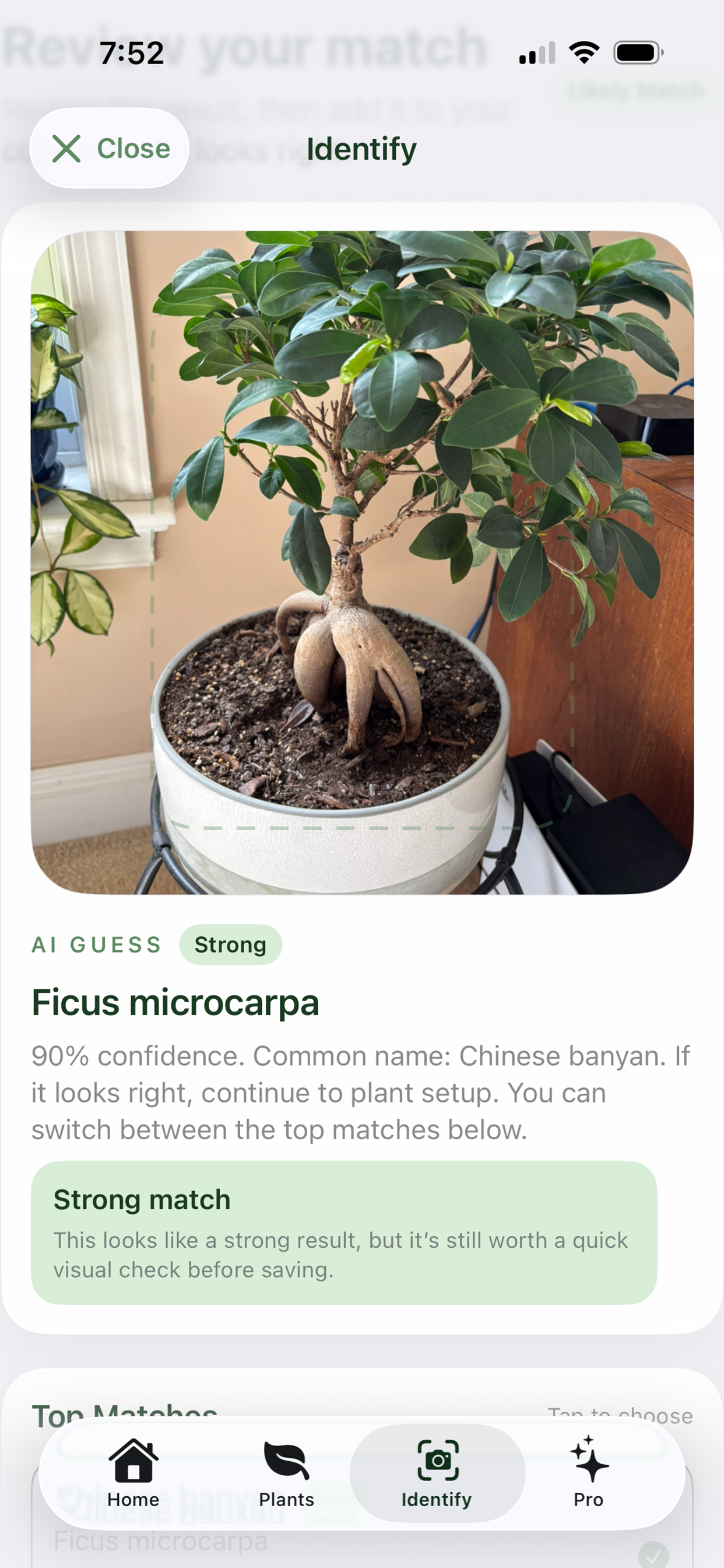 Suolo: Plant Identifier