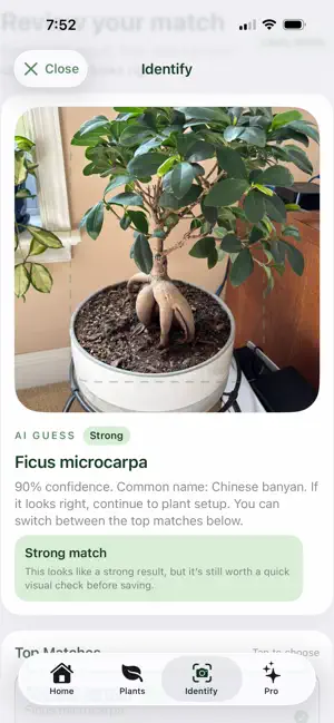 Suolo: Plant Identifier screenshot 4