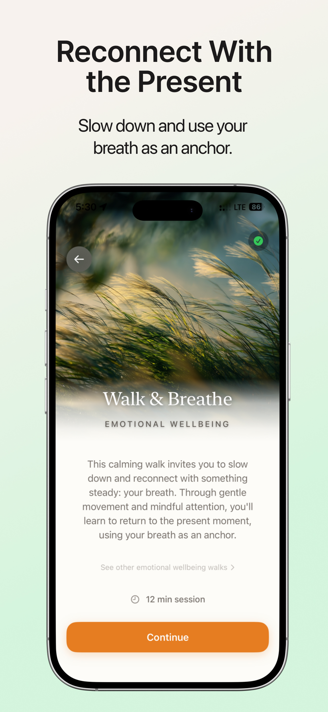 Walking Meditation: Outward
