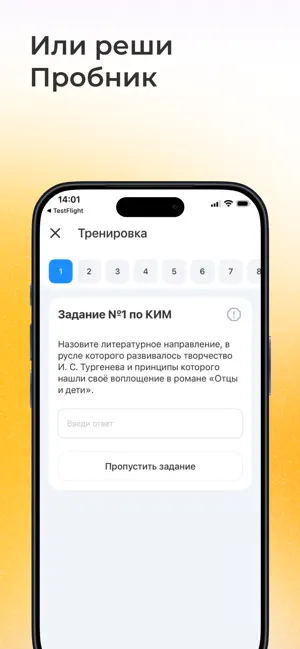 ЕГЭ Литература: база заданий screenshot 4