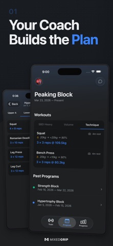 MixedGrip screenshot