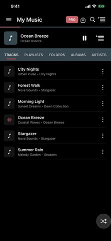 Pi Music Player screenshot