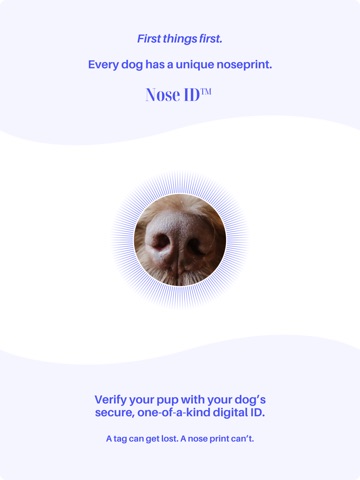 DOGES - Map & Track Dog Walks iPad screenshot