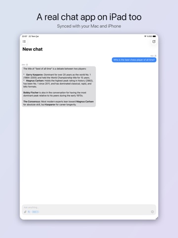 Zeki: AI Sidebar for Safari iPad screenshot