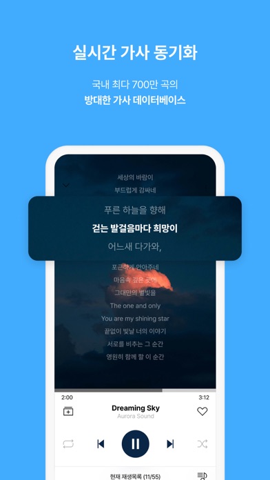 ALSong: Player & Lyrics Screenshot