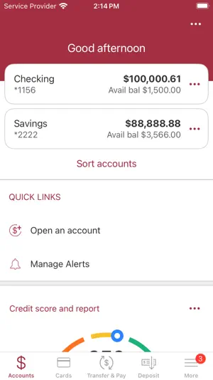 The Savings Bank screenshot 2